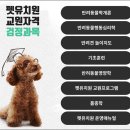 보람유치원 이미지