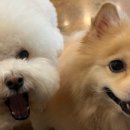 큐티멍 이미지