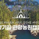 솔향기길야영장