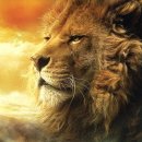 백수의 왕, 사자(獅子) 이미지