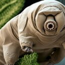 (주)영원 이미지