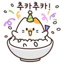 동물치과병원메이 이미지