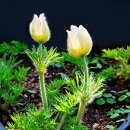 달맞이 펜션 이미지