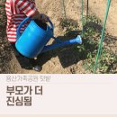 (주)더새론환경 | 용산가족공원 가족텃밭 후기 │ 아이 체험인 줄 알았는데 부모가 더 진심이 된다