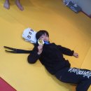 백곰유도관 이미지