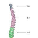 허리인한의원 이미지