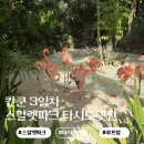 시도 | [신행일기] 칸쿤3일차 스칼렛파크 디세뇨동 루프탑 타시도 텟판 후기