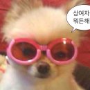 더타워하우스 이미지