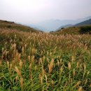 제341차 정기산행(10/6) 간월산,신불산,영축산 이미지