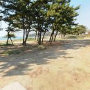 장삼포해수욕장 이미지