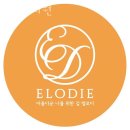 엘로디의원 네이버블로그