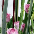 화비꽃방 이미지