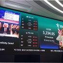미모가발 티스토리