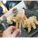 대게플러스 이미지