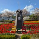 대공원광장대로 | 울산대공원 남문광장 튤립 보러 오는길, 사진잘나오는 포토존, 주차, 만개상황