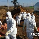 전북양계축협