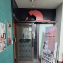청춘 고양이 카페 | 홍대 청춘고양이카페 방문 후기