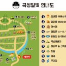 곡성-239 이미지