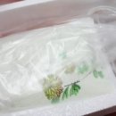 바보펜션 네이버블로그