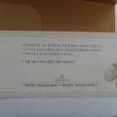 스파피아 이미지