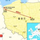 폴리체 이미지
