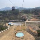 전망대오토카 | 제천 당일치기 여행 | 청풍호반 케이블카 + 비봉산 전망대 당일 코스 후기