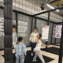 &lt;영등포 키즈카페&gt;챔피언 더 블랙벨트 타임스퀘어점 두번째 후기(놀이시설)