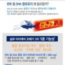 아이케이오