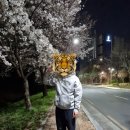 위남공원 네이버블로그
