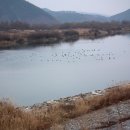 새재ㆍ낙동강자전거길 이미지