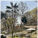 커피예술로스터스