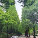 가까운동문약국 이미지