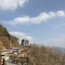 만천하스카이 라운지카페 | 단양 여행 코스 필수! 단양 대형 카페 만천하 스카이라운지 카페 후기