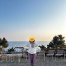 귤담 스테이 | 🌊낙산사 템플스테이&amp;🏔️설악산 신흥사