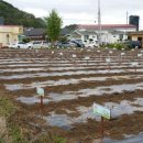 전원농장2 이미지