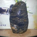 하덕천 Daum카페