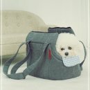 모던켄넬 이미지