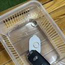 점프실내암벽