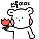 오늘의 강아지 이미지