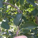 청송아파트경로당 이미지