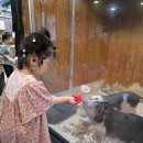 내서읍1320 | 경남 실내 동물원