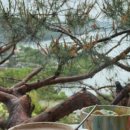 고려패밀리민박 이미지