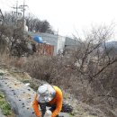 분천농장 이미지