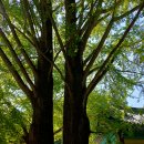 &#34;퇴출, 저질, 역대급 망언&#34; 여성혐오 발언에 화난 평론가들 ㅣ 영상출처: 시사인 장윤선취재편의점 시사인 박진영TV 스픽스 이미지