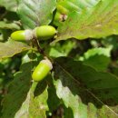 성천농장 이미지