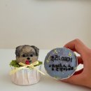 몽마르쉐 이미지