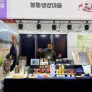 [전주행사]2025년 전주 발효식품엑스포 참가 후기