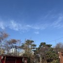 길위의파스타 (둔촌점) | 경기 하남 브런치까페 브런치 맛집 에움456 식사 후기