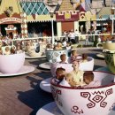 매드티파티(Mad Tea Party)