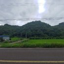 하대동303 이미지